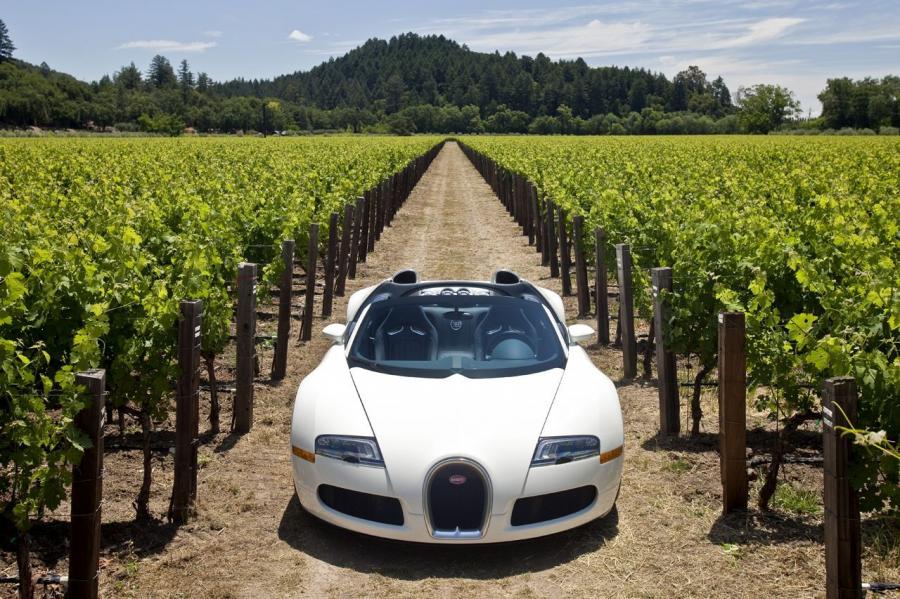  Bugatti Veyron 16.4 Grand Sport Roadster 2008 года  (фото 43 из 186)